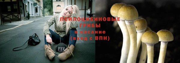 трава Шадринск